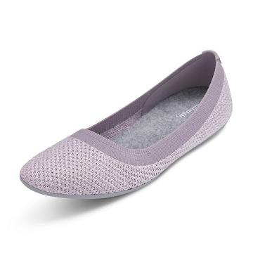 Allbirds Tree Breezers Women's Slip On Shoes Purple | SG4528OR