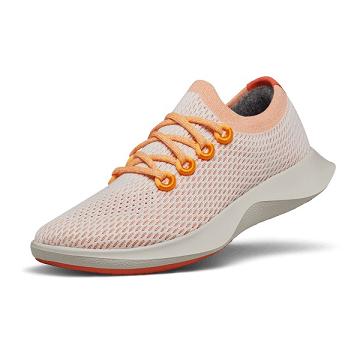 Allbirds Tree Dasher 1 Men's Running Shoes Orange | SG4159FM