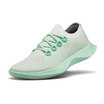 Allbirds Tree Dasher 1 Men's Running Shoes White / Green | SG4162AP