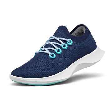 Allbirds Tree Dasher 1 Men's Running Shoes Blue / White | SG4165IS