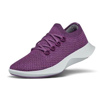 Allbirds Tree Dasher 1 Men's Running Shoes Purple | SG4172QZ