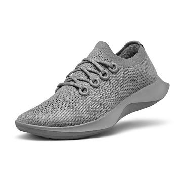 Allbirds Tree Dasher 1 Women's Running Shoes Grey | SG4589MA