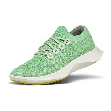 Allbirds Tree Dasher 1 Women's Running Shoes Mint / White | SG4596LH