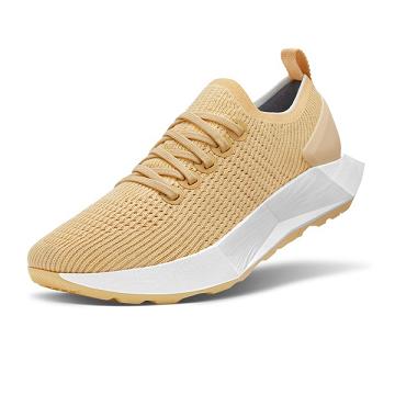 Allbirds Tree Flyers Men's Running Shoes Beige | SG4181KI