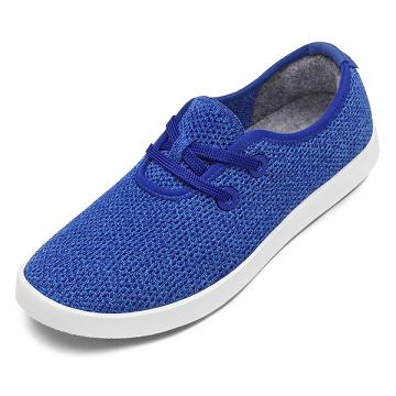 Allbirds Tree Skippers Men's Sneakers Blue | SG4014EX