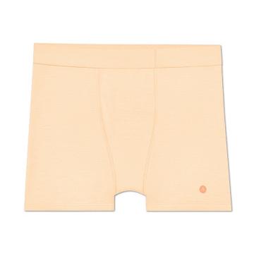 Allbirds Trino® Boxer Brief Men's Underwear Brown | SG4272TV