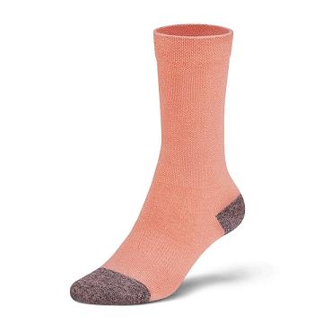 Allbirds Trino® Tubers Women's Socks Orange | SG4793RW