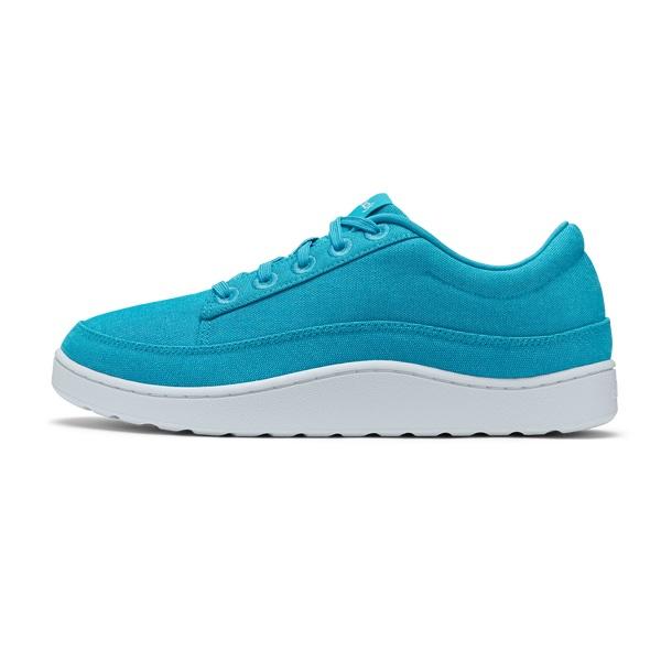 Allbirds Canvas Pacers Men's Sneakers Turquoise | SG4002GL