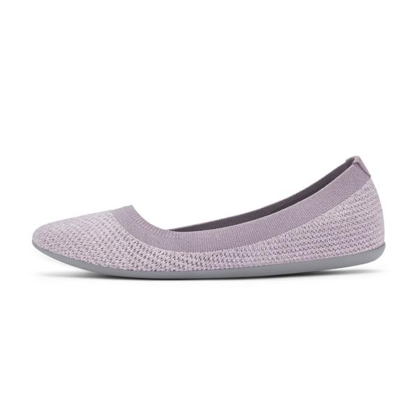 Allbirds Tree Breezers Women's Slip On Shoes Purple | SG4528OR