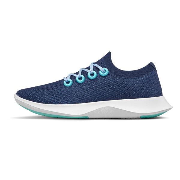 Allbirds Tree Dasher 1 Men's Running Shoes Blue / White | SG4165IS