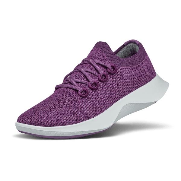 Allbirds Tree Dasher 1 Men\'s Running Shoes Purple | SG4172QZ