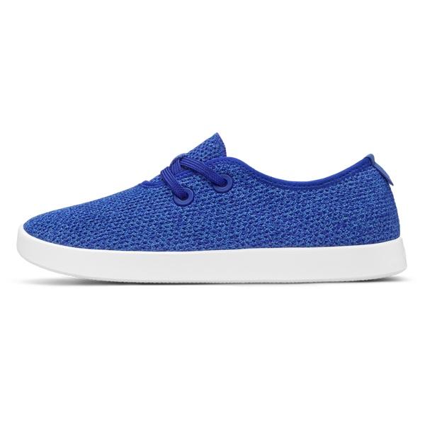 Allbirds Tree Skippers Men's Sneakers Blue | SG4014EX